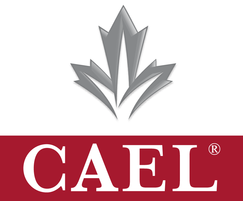 CAEL Paragon Testing Enterprises CAEL Paragon Testing Enterprises